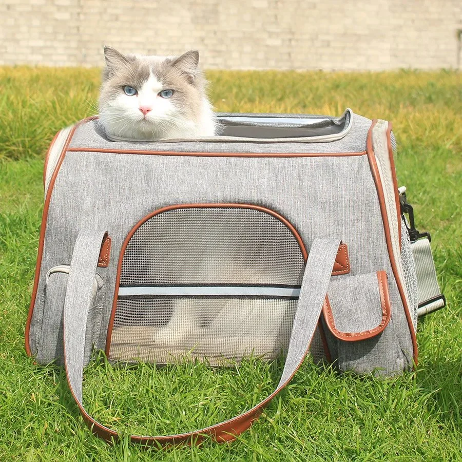 Foldable Pet Travel Carrier Bag for Cats & Small Dogs