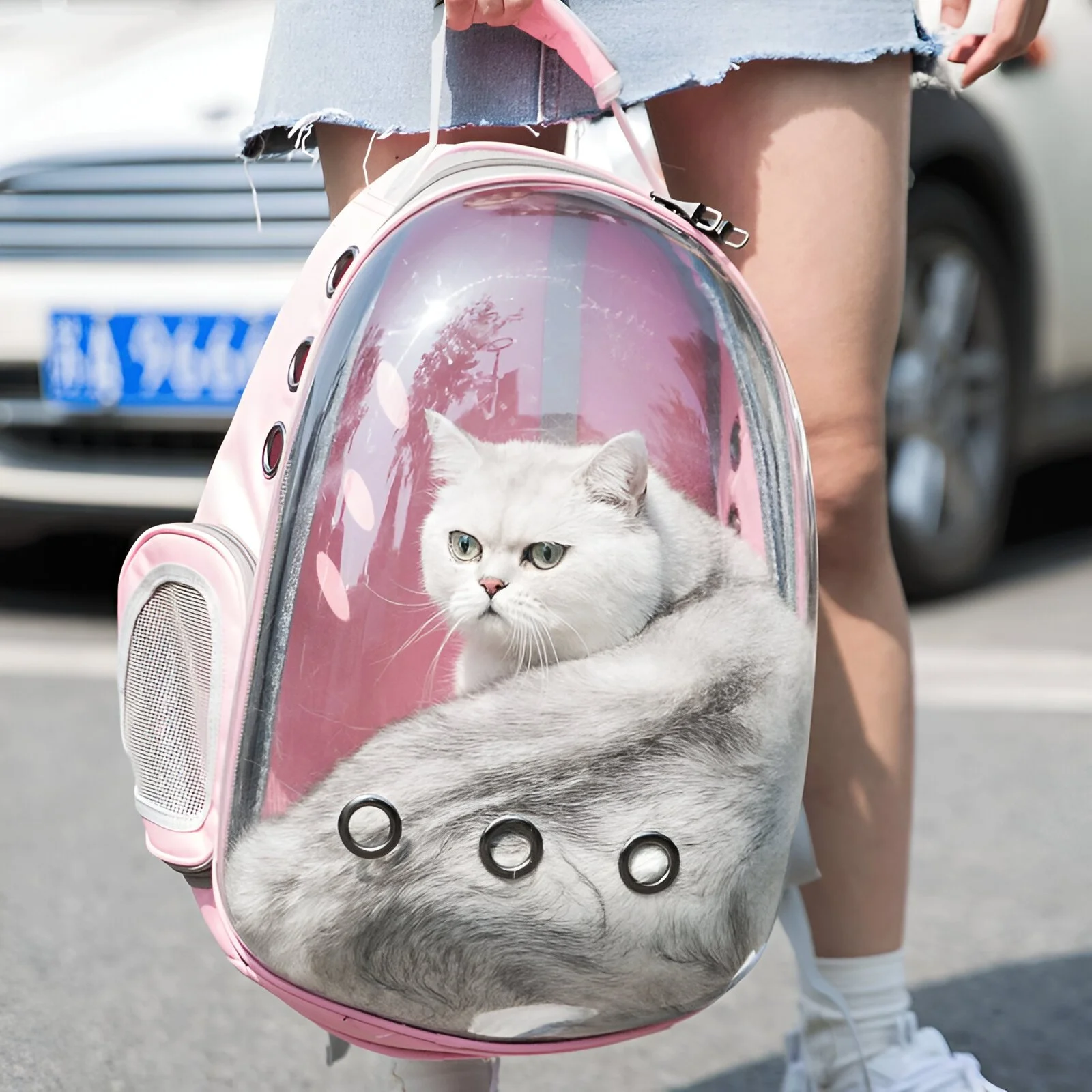 Breathable Transparent Pet Carrier Backpack for Cats and Dogs