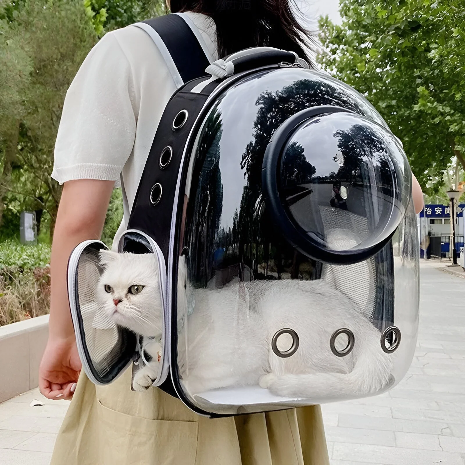 Pet Transparent Backpack Carrier - Breathable Space Capsule for Cats and Dogs