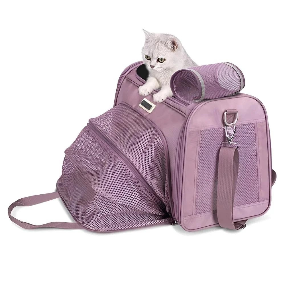 Breathable Foldable Pet Travel Backpack for Small Dogs and Cats