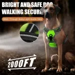 LED Glowing Dog Harness – Rechargeable Safety Vest with 3 Light Modes