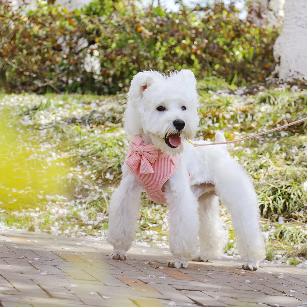 Cute Velvet Bowknot Dog Harness & Leash Set