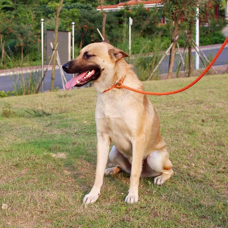 Heavy-Duty Rope Dog Leash for Large & Medium Dogs
