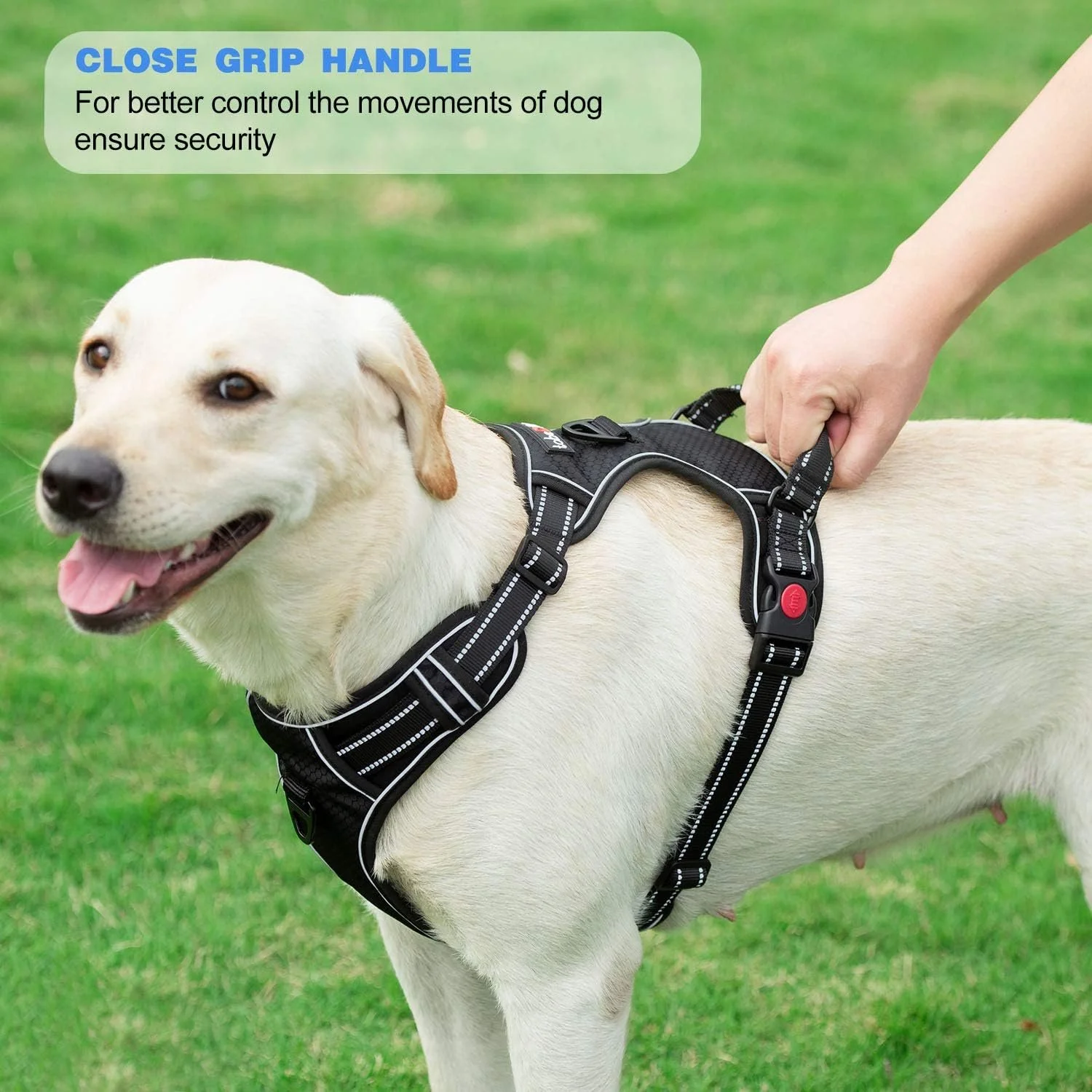 Adjustable No-Pull Dog Harness with Padded Vest & Easy Control Handle