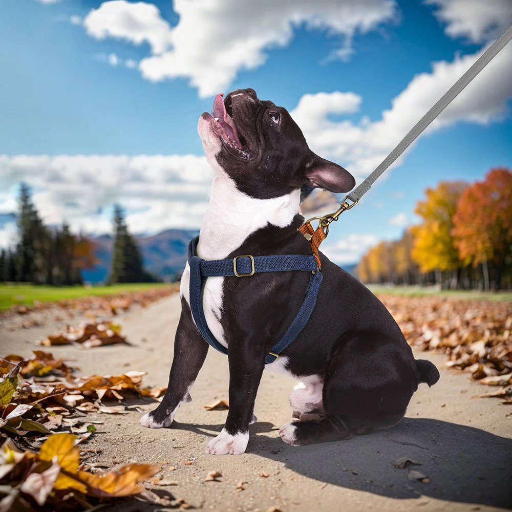Reflective Nylon Dog Harness