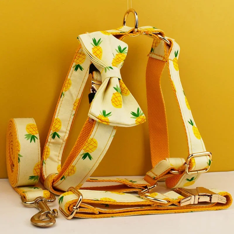 Pineapple Print Dog Collar, Leash & Harness Set