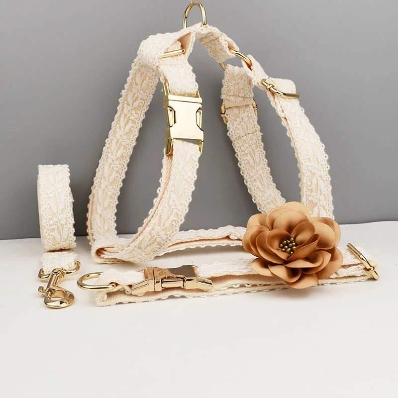 Luxury Lace Dog Collar – Everyday Wear