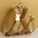 Heavy Duty Metal Dog Harness and Leash Set – Adjustable for All Sizes