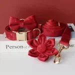 Flower Gold Red Hearts Dog Collar – Small to Large Breeds