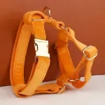 Orange Velvet Dog Collar and Leash Set