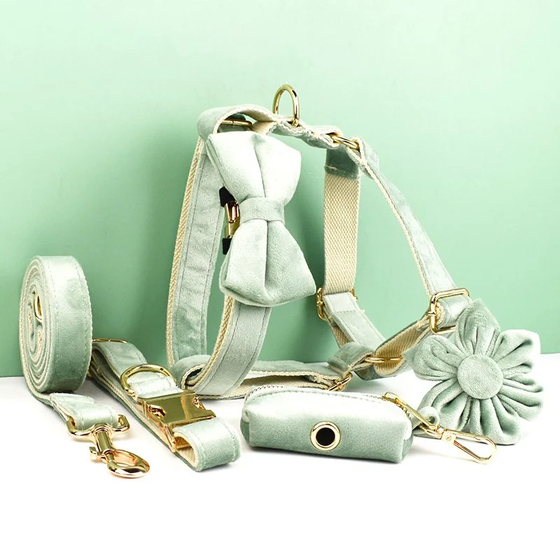 Mint Green Velvet Dog Collar and Leash Set with Nameplate