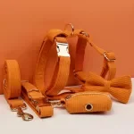 Orange Corduroy Dog Collar and Leash Set