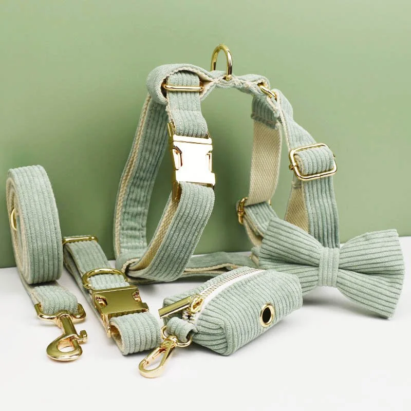 Light Green Corduroy Dog Collar and Leash Set with Engraved Nameplate