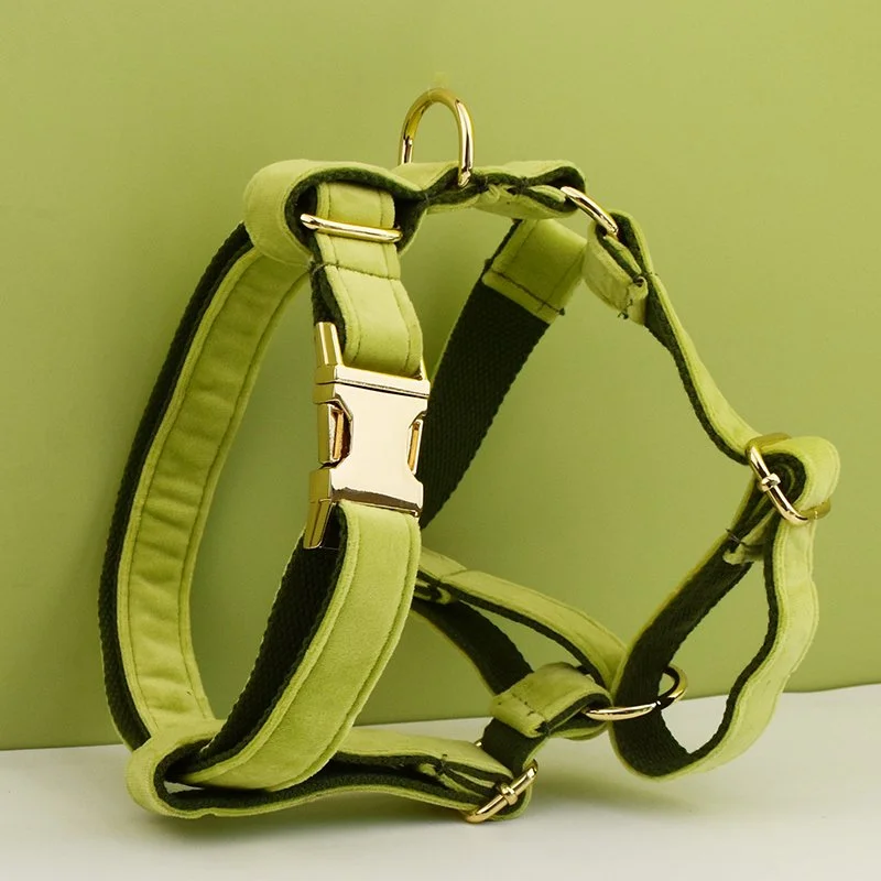Avocado Velvet Dog Collar and Leash Set