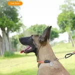 Adjustable Reflective No-Pull Dog Training Collar with Heavy-Duty Chain