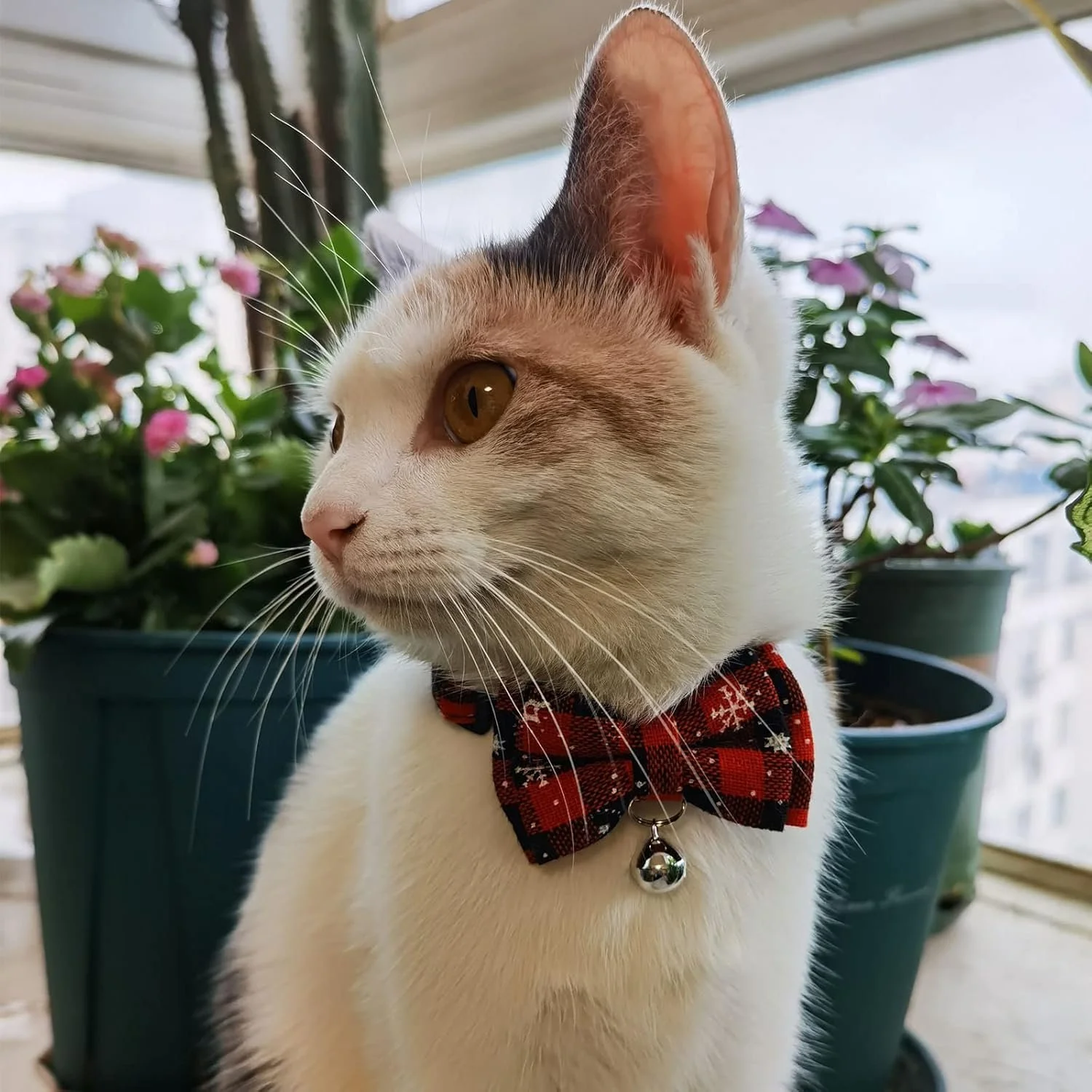 Adjustable Plaid Cat Collar with Bow Tie and Bell