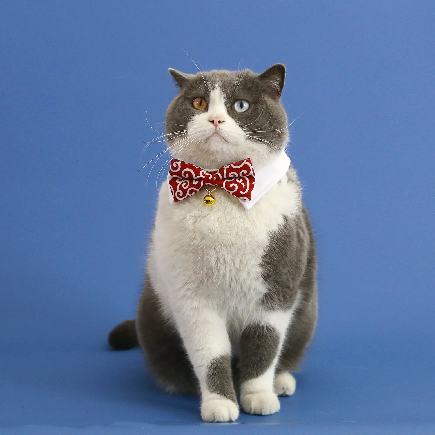 Japanese Style Pet Bow Tie Collar with Bell for Cats and Dogs