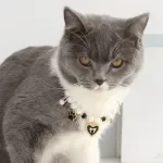 Adorable Cartoon Pendant Adjustable Pet Collar for Cats & Dogs