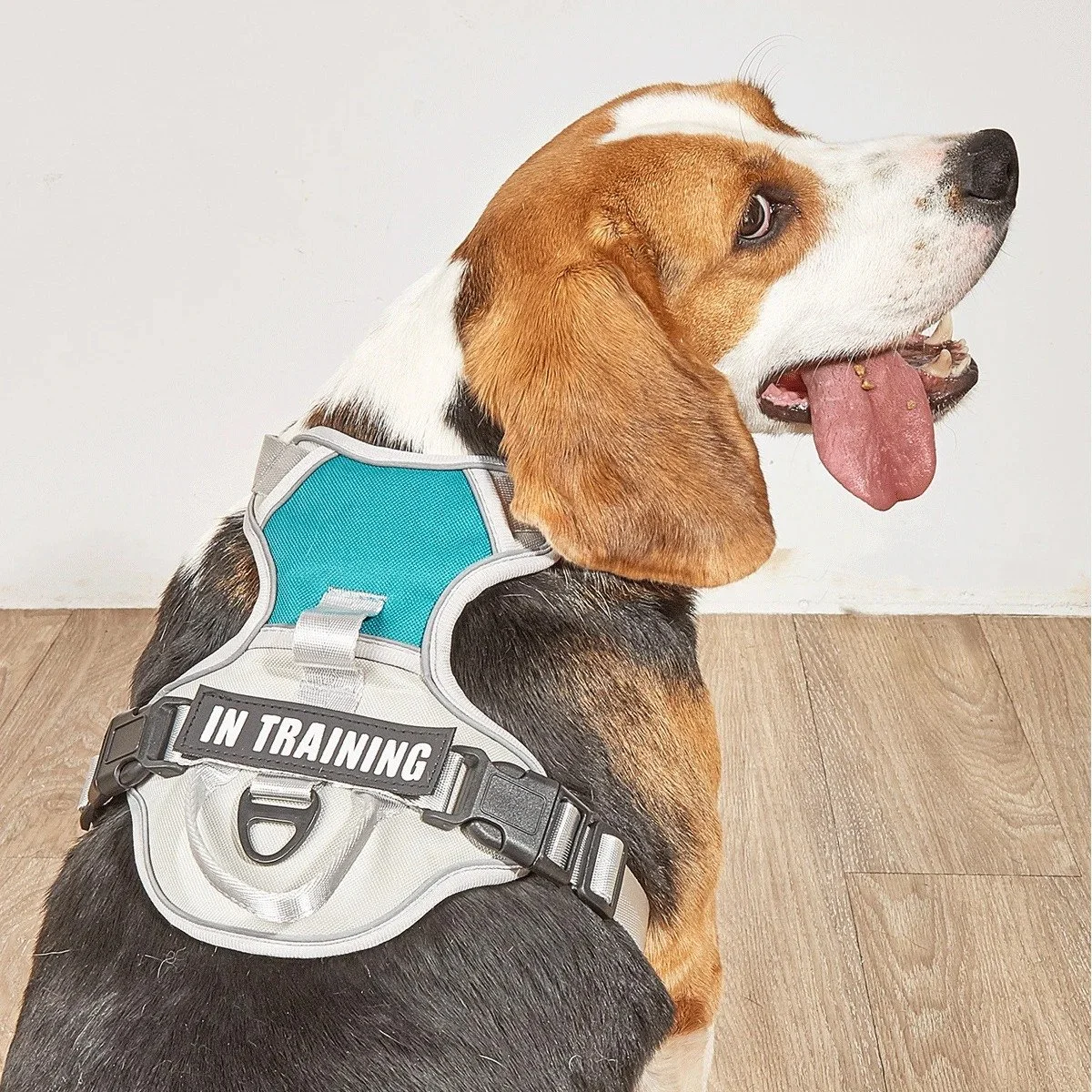 Adjustable Vest-Style Dog Harness with Chest Support