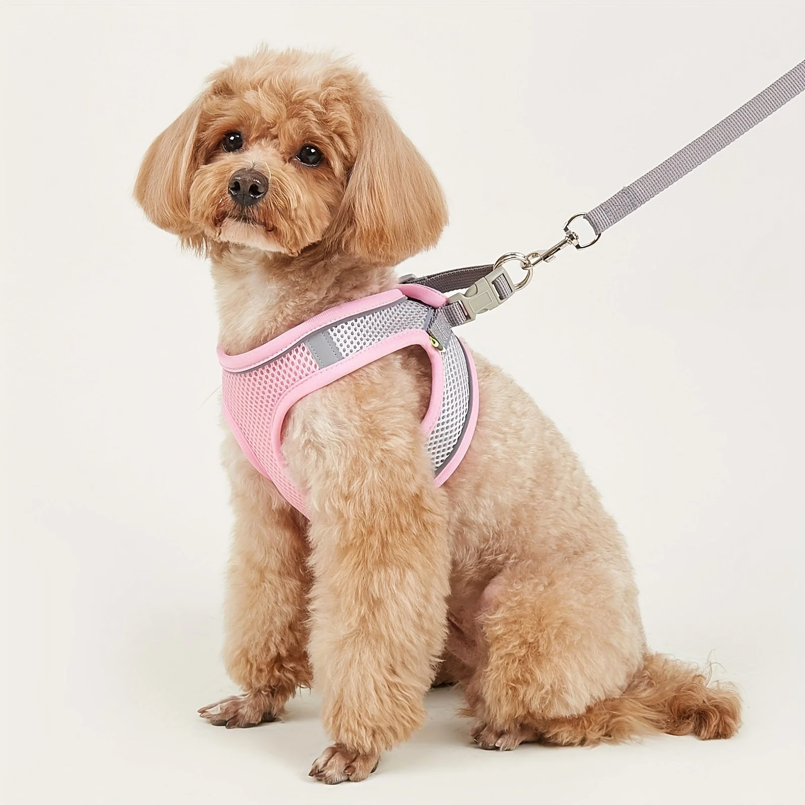 Reflective Soft Mesh Dog Harness for Small & Medium Breeds