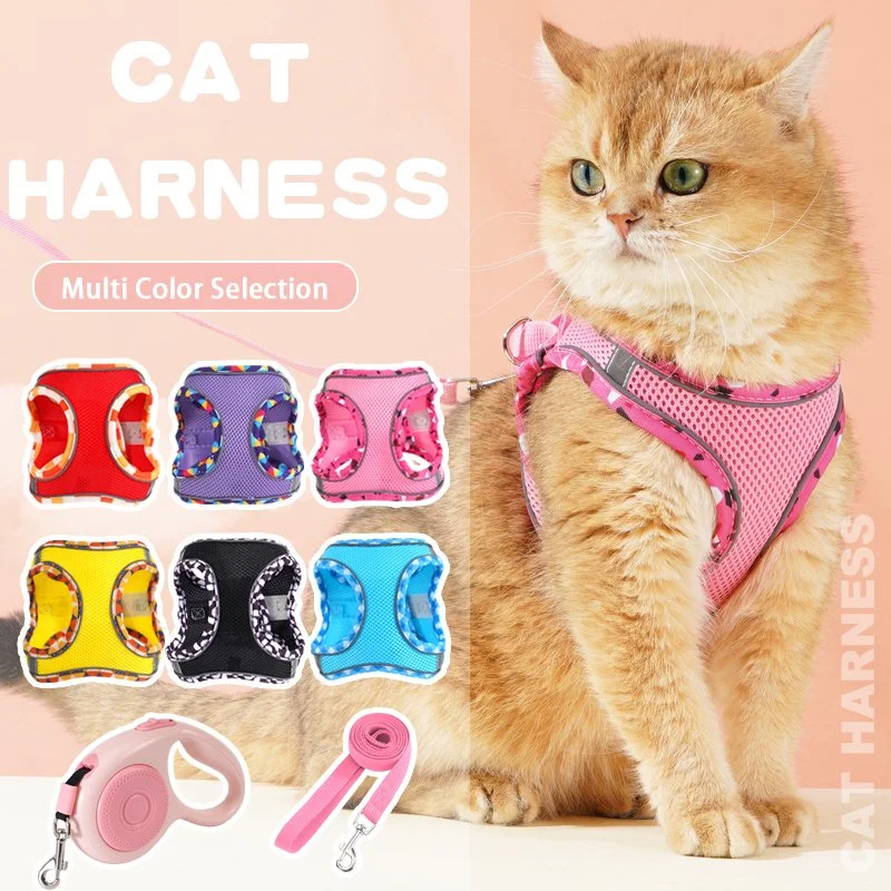 Retractable Leash Padded Harness Set for Small Dogs & Cats