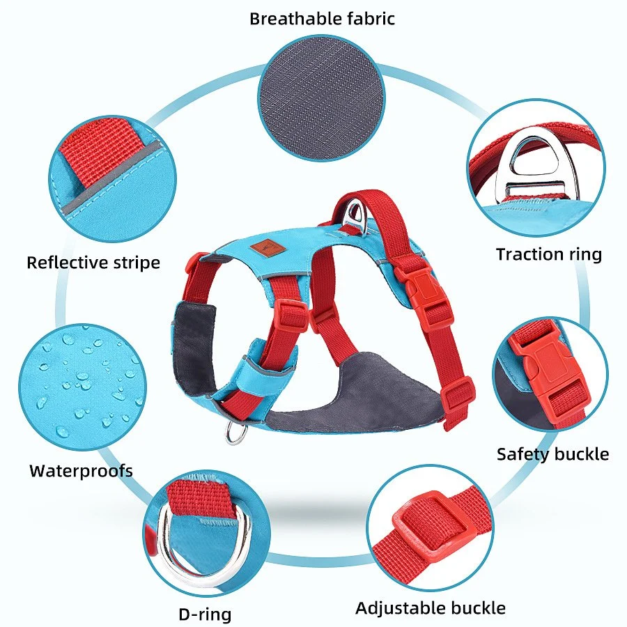 Lightweight No-Pull Dog Harness Vest with Breathable Mesh & Leash Set