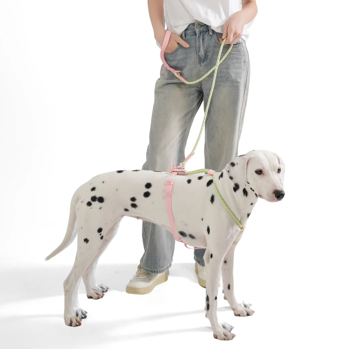 No-Pull Reflective Dog Harness & Leash Set for Small and Medium Dogs
