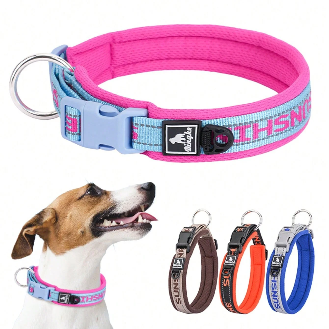 Adjustable Comfort Dog Collar for Everyday Wear