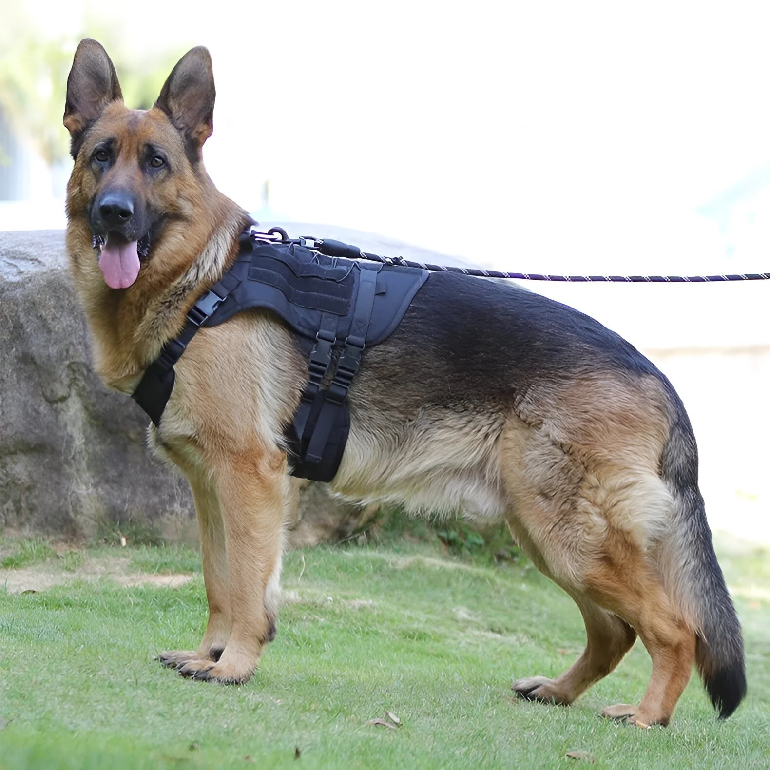 Waterproof Tactical Dog Harness with Adjustable Vest Design