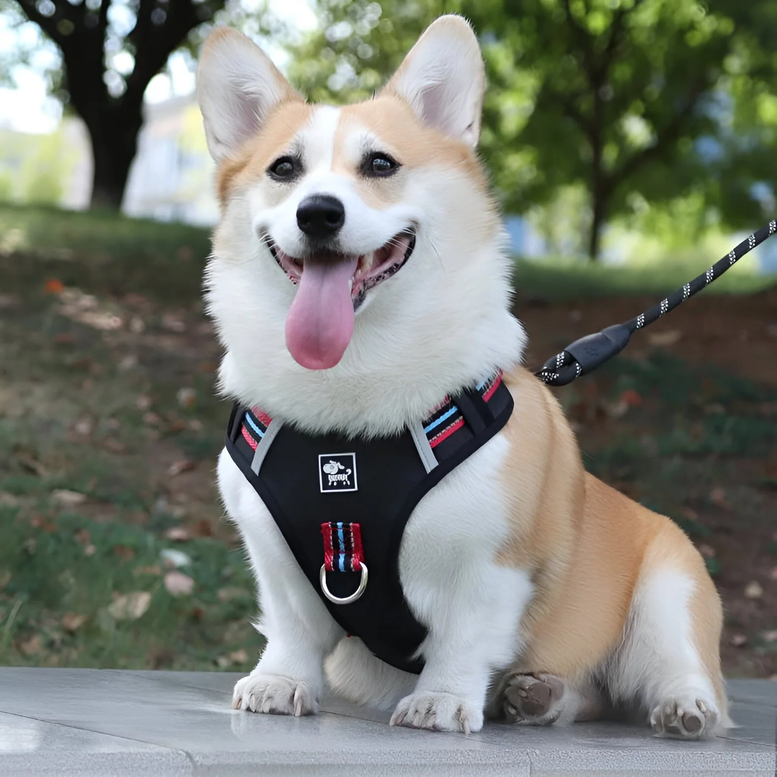 Adjustable Reflective Dog Harness Vest for Medium & Large Breeds