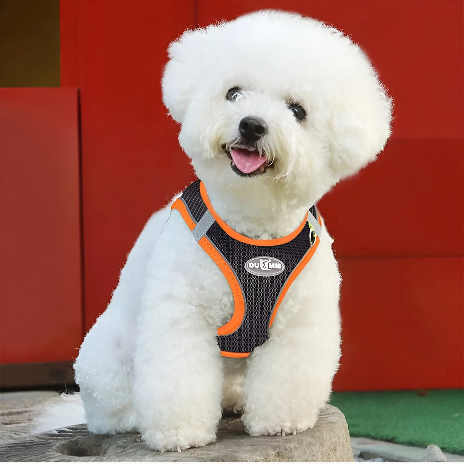 Adjustable Reflective Dog Harness and Leash Set
