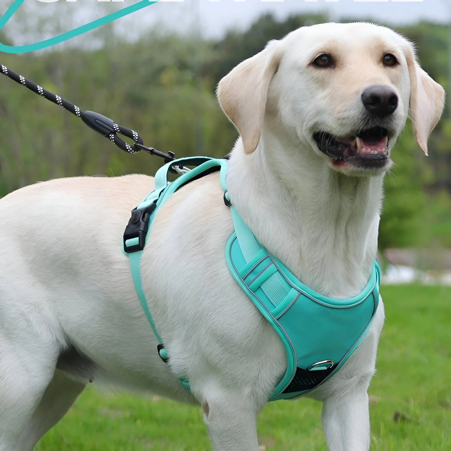 No-Pull AirTag Dog Harness with Reflective Escape-Proof Tactical Vest