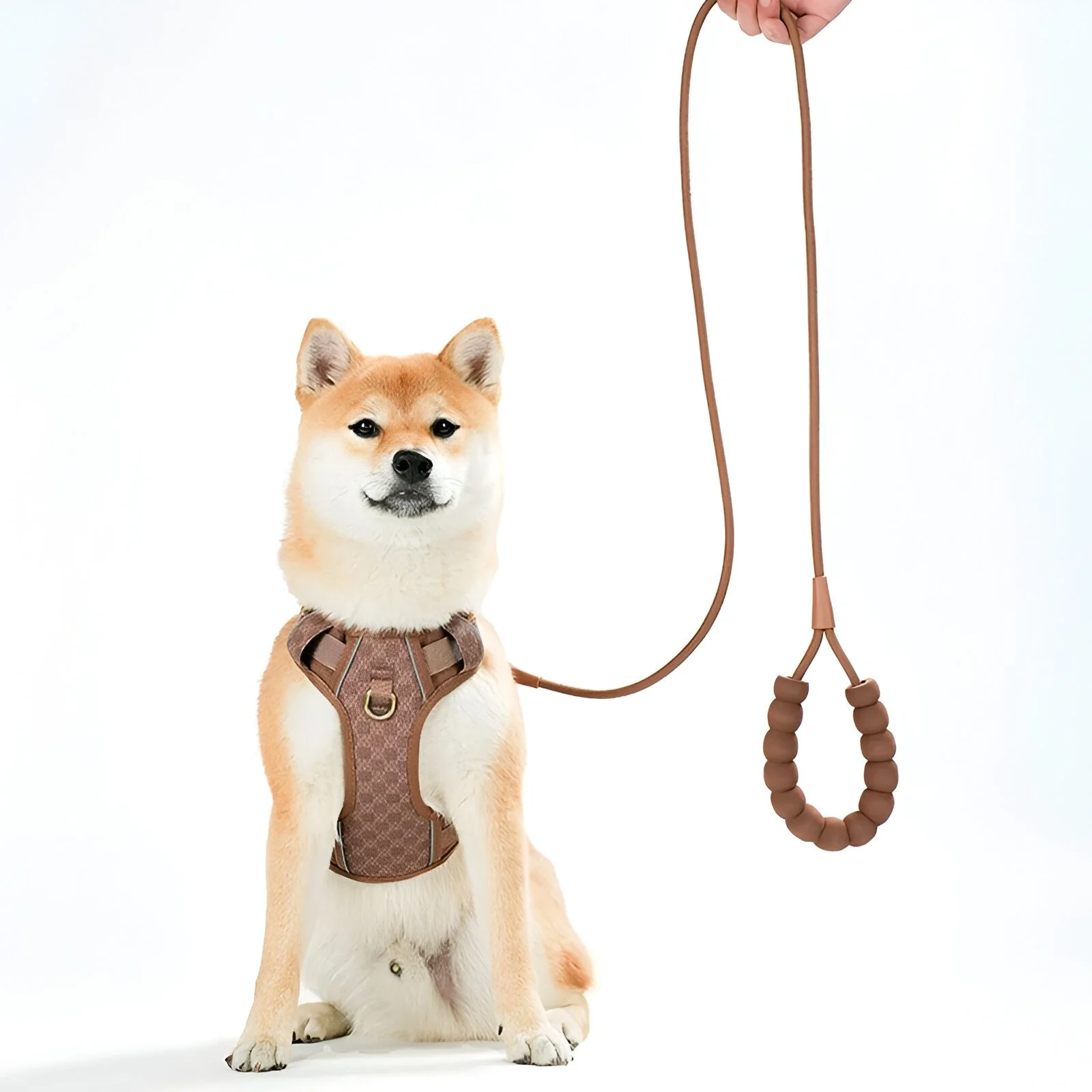 Adjustable Breathable Dog Harness for All Breeds