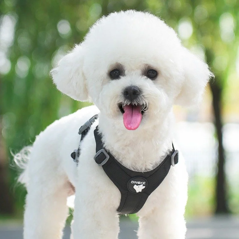 Lightweight Reflective Dog Harness with Breathable Comfort