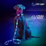 USB Rechargeable LED Dog Collar & Leash Set