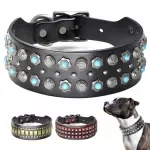 Luxury Spiked Leather Dog Collar for Medium & Large Breeds