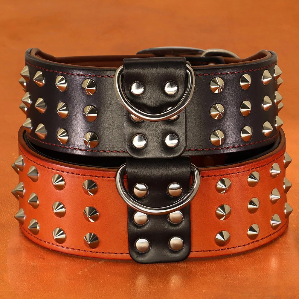 Premium Genuine Leather Dog Collar for Medium & Large Breeds