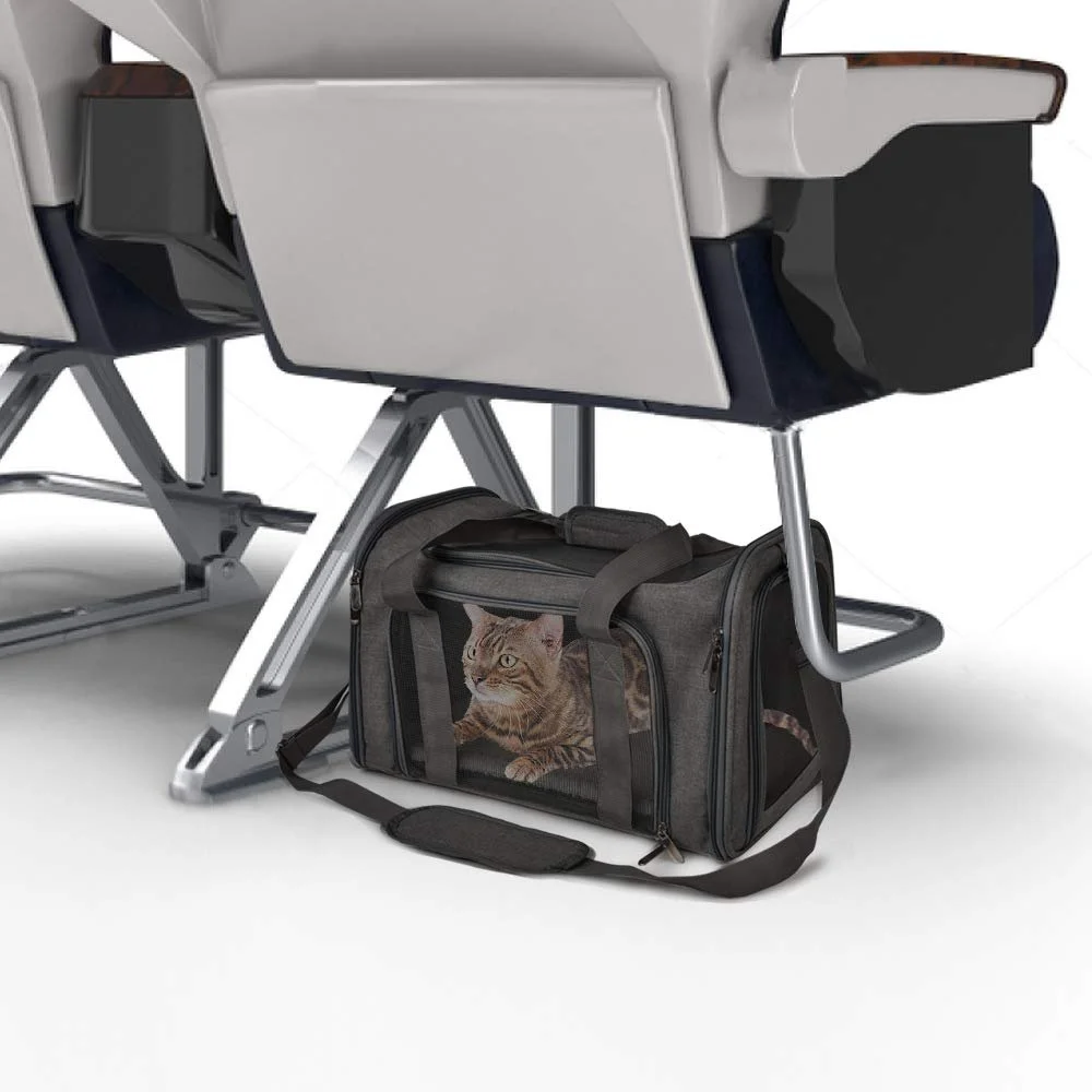 Airline Approved Soft-Sided Pet Travel Backpack for Small Dogs & Cats