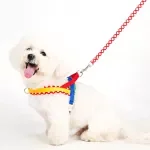 Adjustable No-Pull Dog Harness Vest for Small & Medium Dogs
