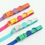 Colorful Nylon Pet Leash for Small & Medium Dogs and Cats – 59 Inch