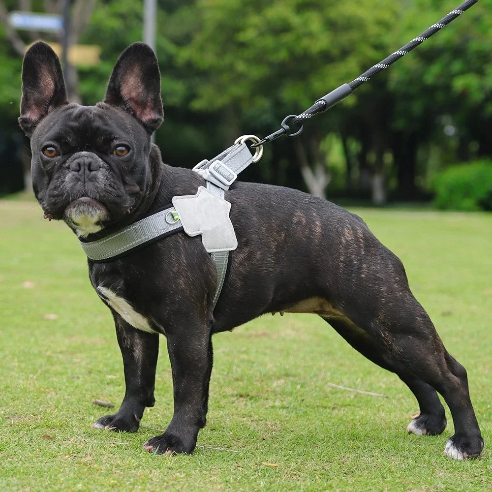 Breathable No-Pull Reflective Dog & Cat Harness for Small to Large Pets