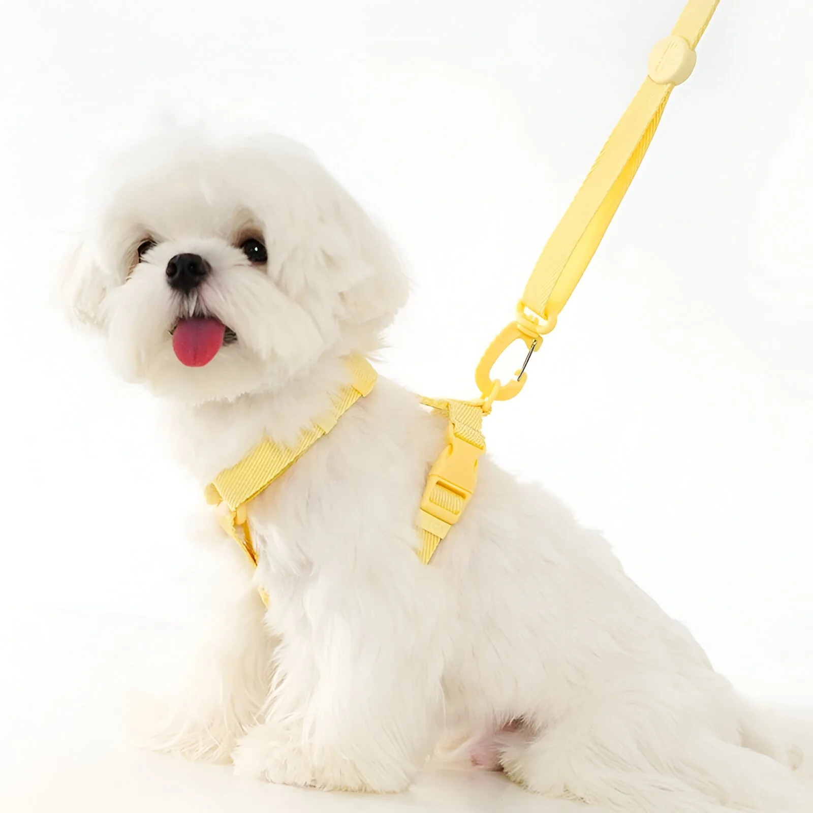 Pastel Adjustable Dog Harness, Collar and Leash Set with Reflective Trim