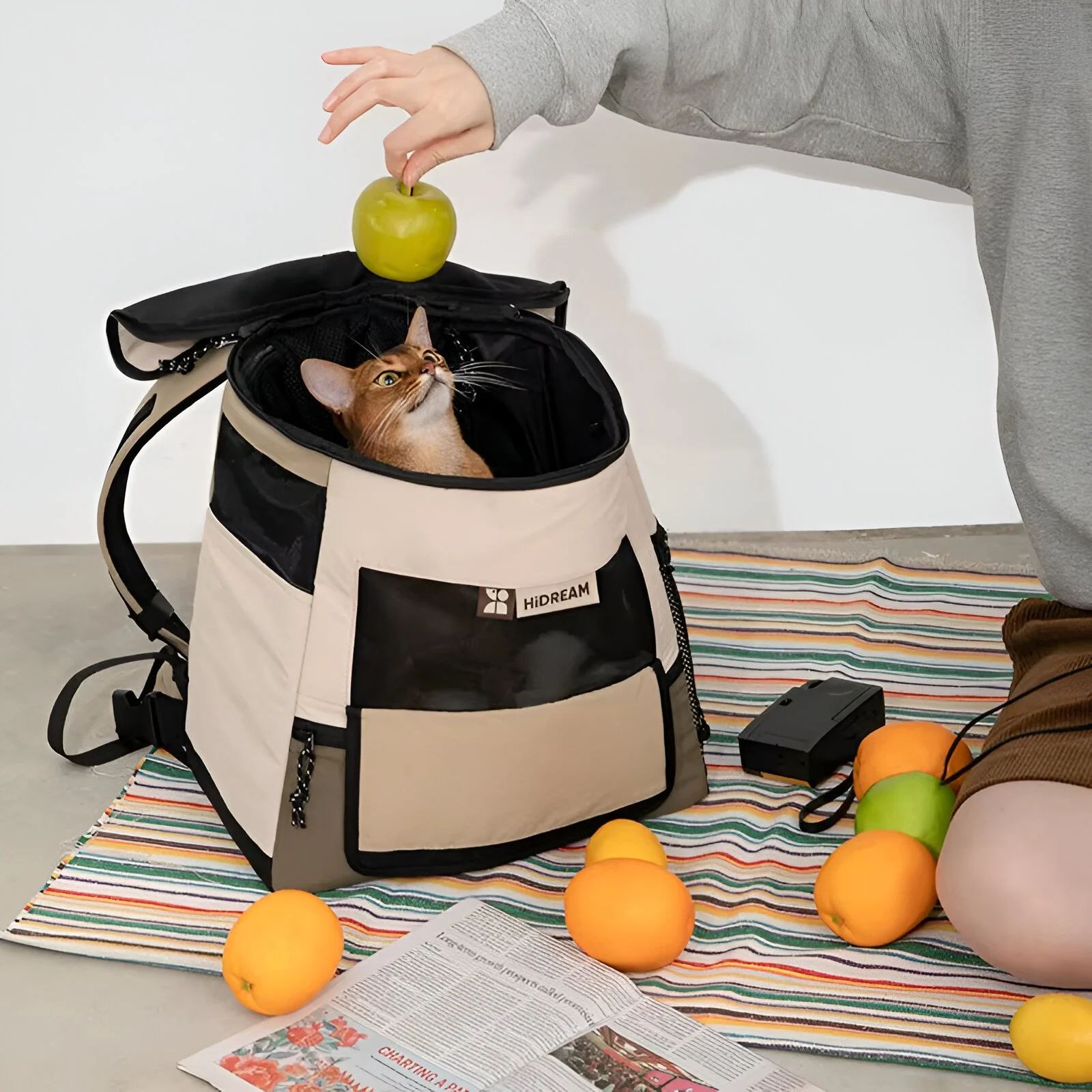 Breathable Mesh Cat Backpack Carrier for Travel & Outdoor Adventures
