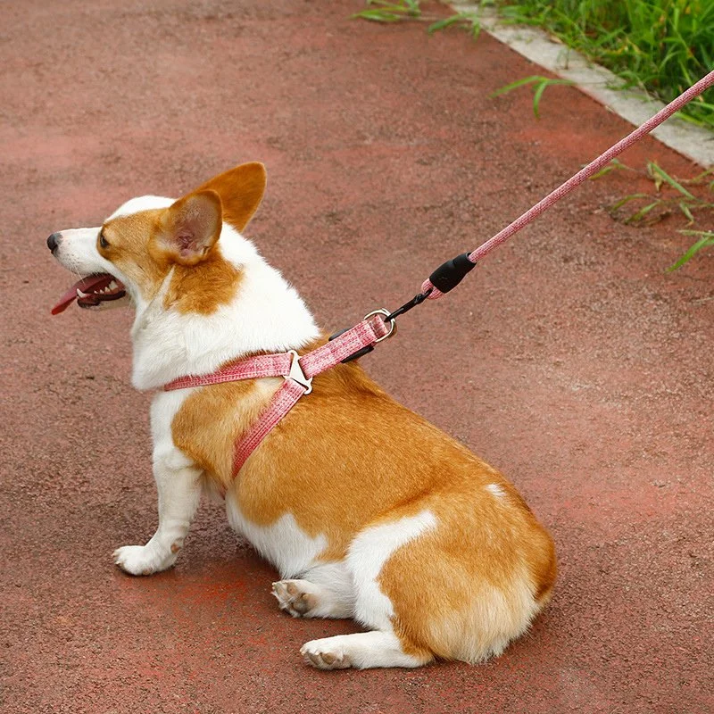 Adjustable Dog Harness & Rope Leash Set with Foam Handle