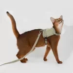 Reflective Cat & Puppy Harness with Leash – Breathable Breakaway Vest