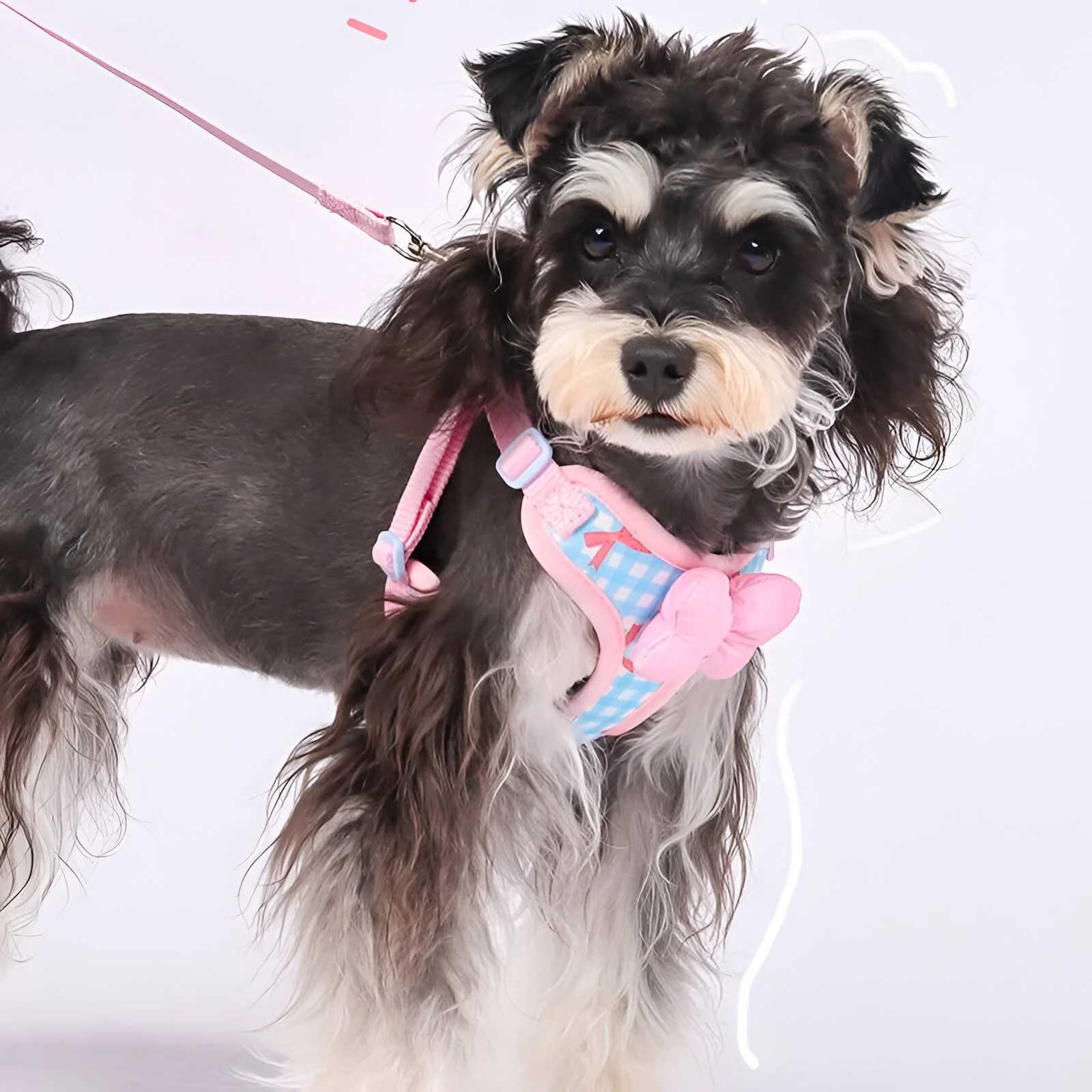 Plaid Dog Harness & Leash Set with Bow Tie