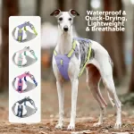 Lightweight Escape-Proof Mesh Dog Harness Vest with Reflective Trim