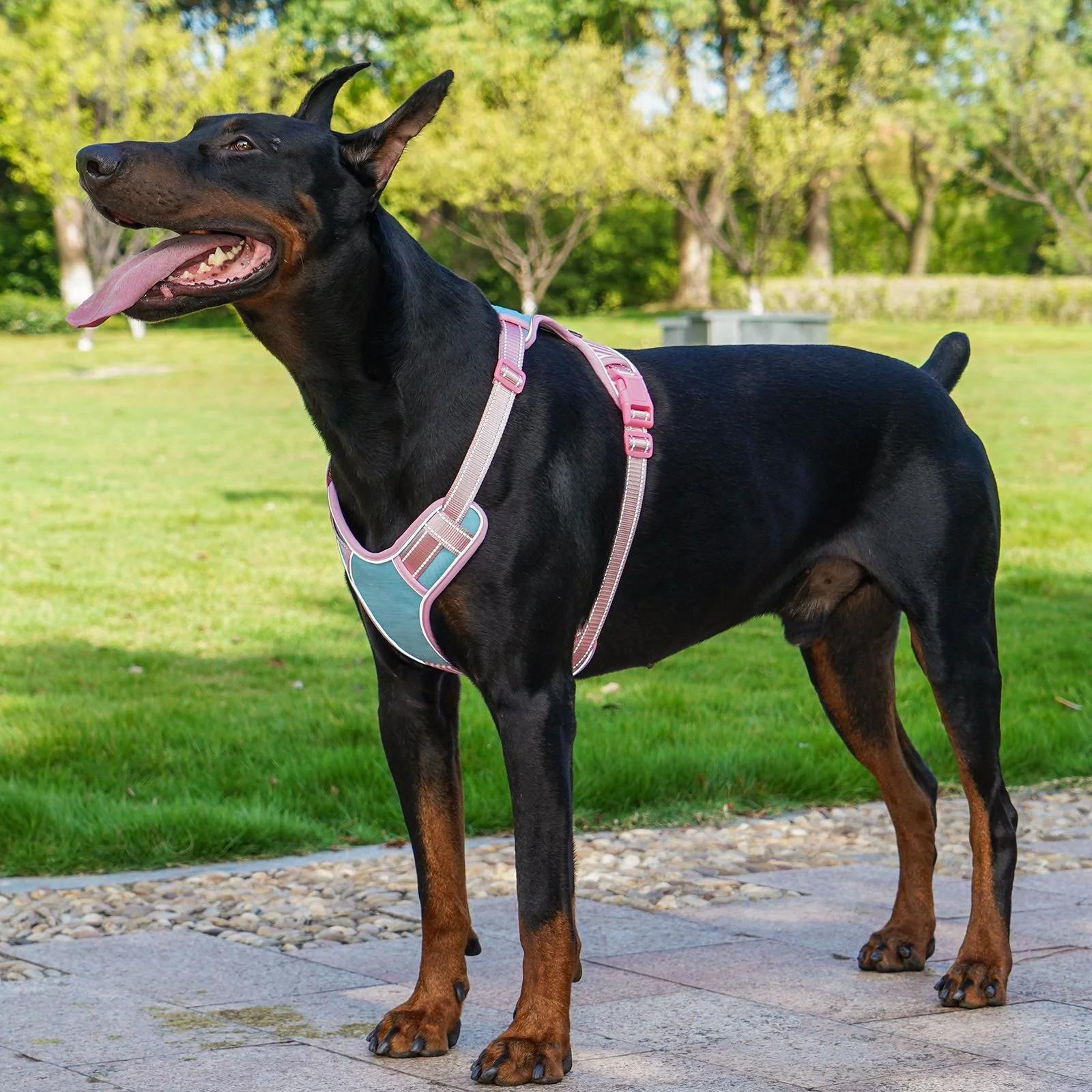 Reflective Escape-Proof Dog Harness & Leash Set