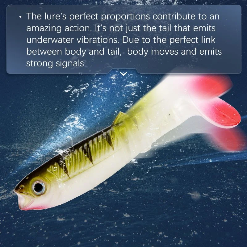Soft Shad Fishing Lures 5PCS Set – 4in, 0.37oz, Multi-Color PVC Baits