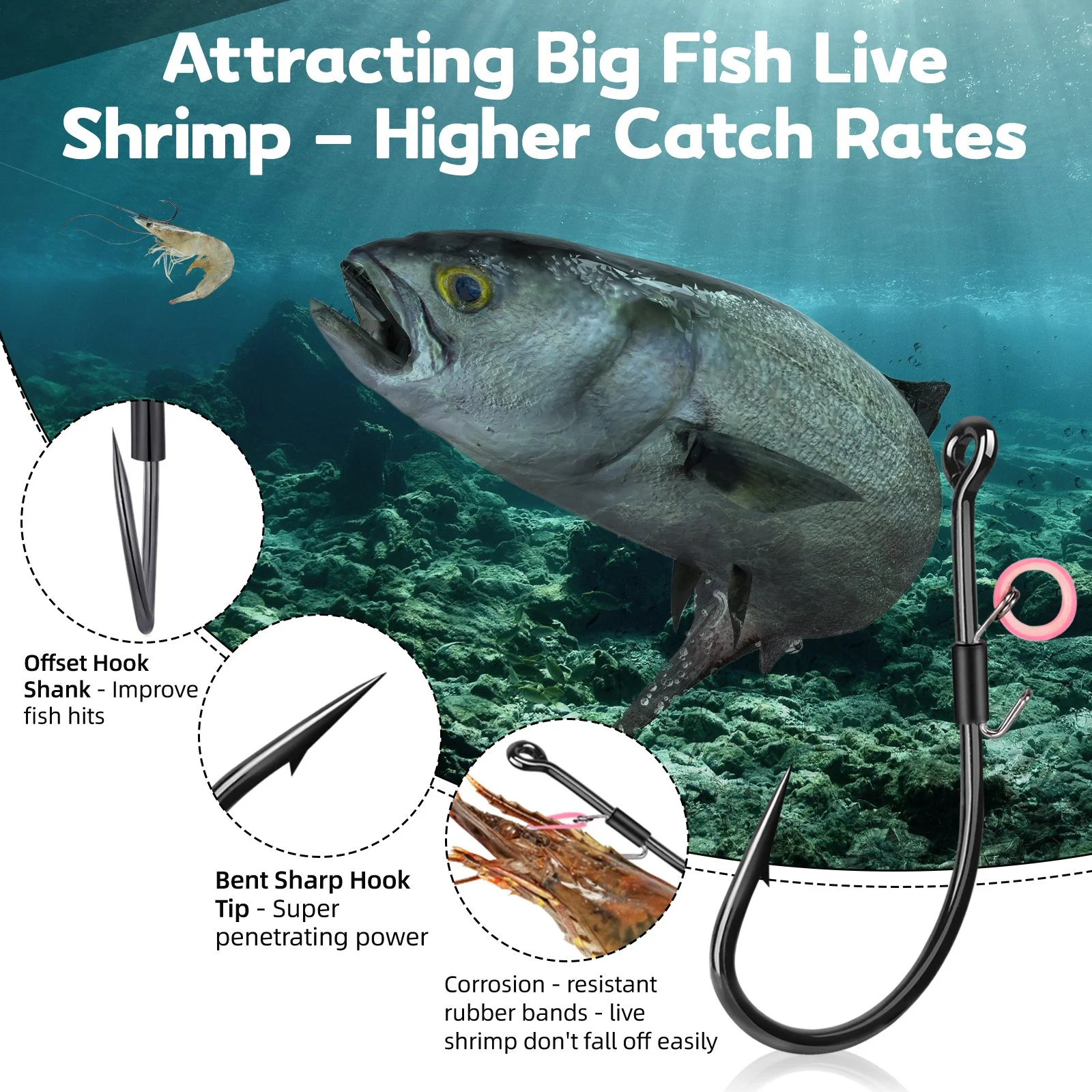 Live Shrimp Holder Fishing Hooks 10~15Pcs Saltwater & Freshwater